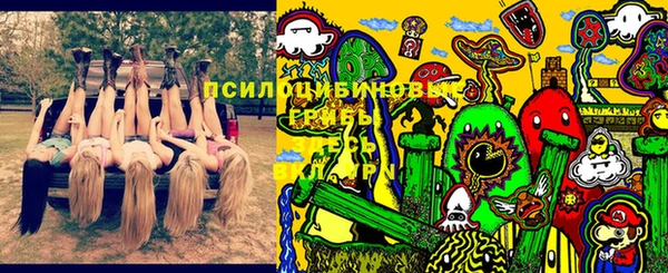 мдпв Алексеевка