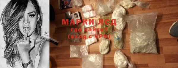 прущий лед Алзамай