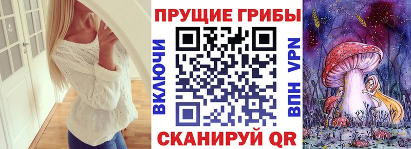 Псилоцибиновые грибы мухоморы  купить наркотики цена  ОМГ ОМГ ссылки  Саров 